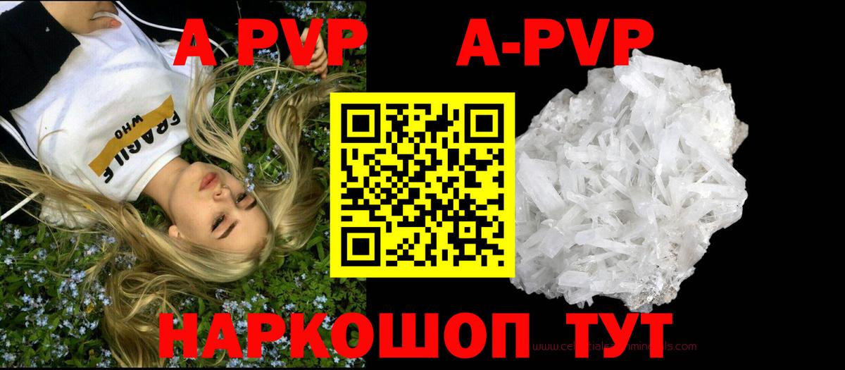 Альфа ПВП СК КРИС Краснознаменск