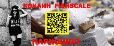 Альфа ПВП Камышлов
