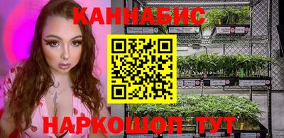 Альфа ПВП Камышлов