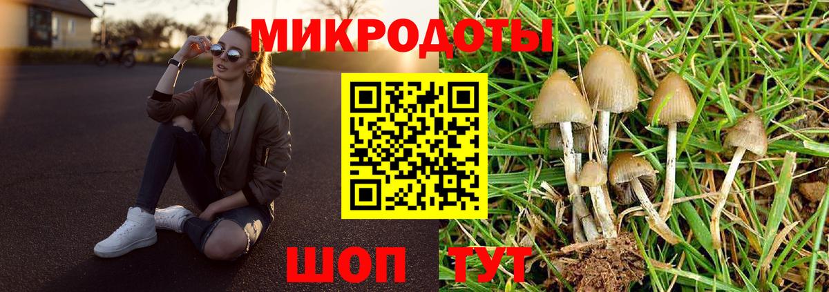 Галлюциногенные грибы мицелий  Вход с VPN  Краснознаменск 